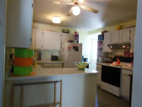 112 W Front St, Mount Morris, IL 61054 photo 2