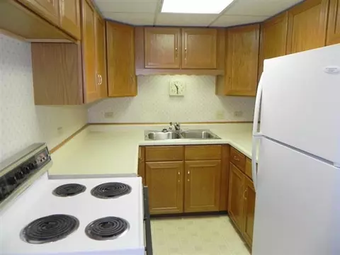 1955 Baintree, Lake Summerset, IL 61019 photo 20