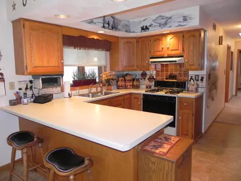 1019 Spring Ct, Lake Summerset, IL 61019 photo 12