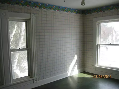 412 S Main St, Leaf River, IL 61047 photo 9