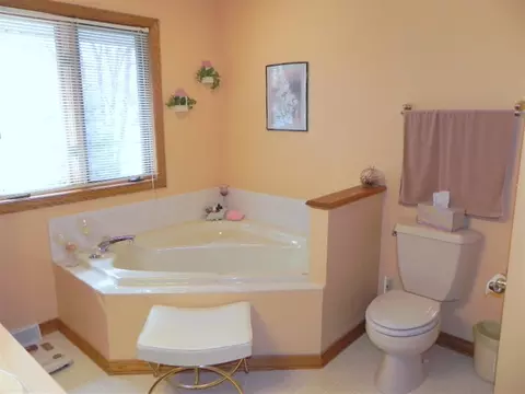 1411 Pier Dr, Lake Summerset, IL 61019 photo 20