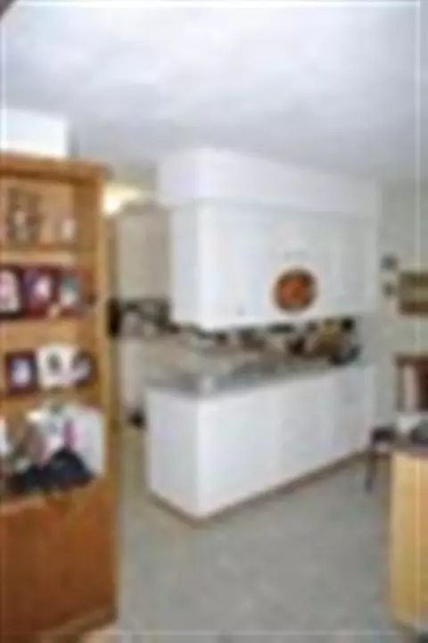 115 E 10th St, Pecatonica, IL 61063 photo 4