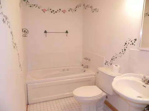 314 Forestcliff, Lake Summerset, IL 61019 photo 23