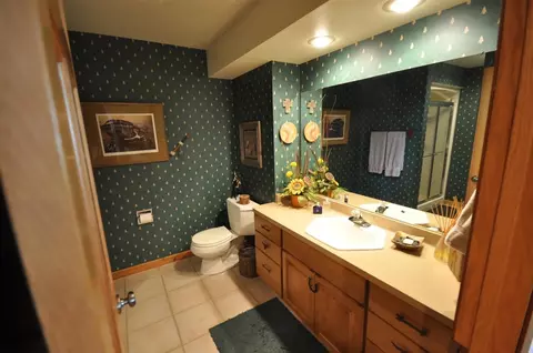 17094 Campbell Rd, Davis, IL 61019 photo 15