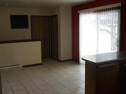 1137 Madison St, Pecatonica, IL 61063 photo 3