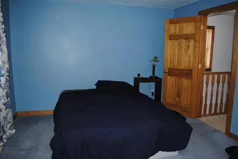311 E First St, Leaf River, IL 61047 photo 9