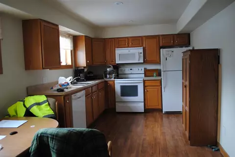 311 E First St, Leaf River, IL 61047 photo 4