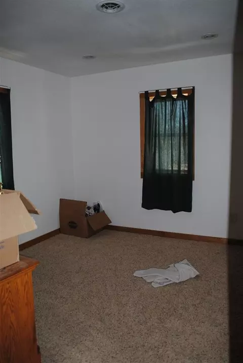 311 E First St, Leaf River, IL 61047 photo 14