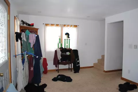 311 E First St, Leaf River, IL 61047 photo 17