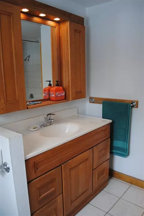 311 E First St, Leaf River, IL 61047 photo 10