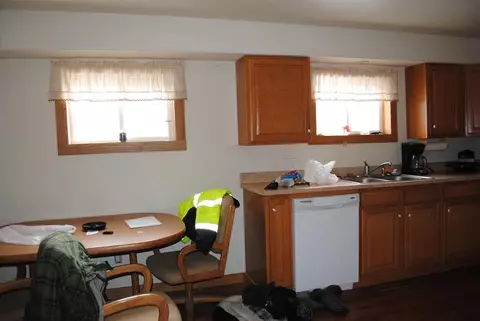 311 E First St, Leaf River, IL 61047 photo 5