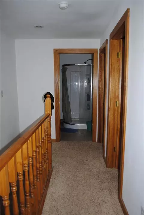 311 E First St, Leaf River, IL 61047 photo 13