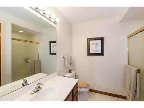8761 Goeke Rd, Davis, IL 61019 photo 10