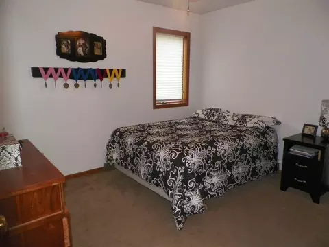 10566 E Cedarville, Davis, IL 61019 photo 14