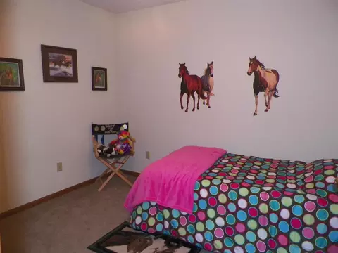 10566 E Cedarville, Davis, IL 61019 photo 15