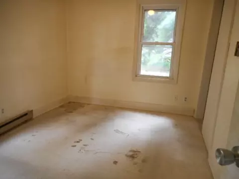 219 Stanton St, Davis, IL 61019 photo 7