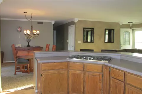 8181 Mill Rd N, Leaf River, IL 61047 photo 4