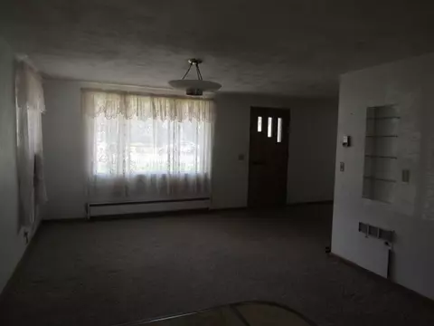215 W 4th St, Pecatonica, IL 61063 photo 4