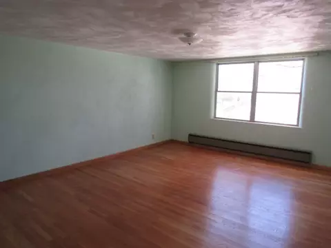215 W 4th St, Pecatonica, IL 61063 photo 13