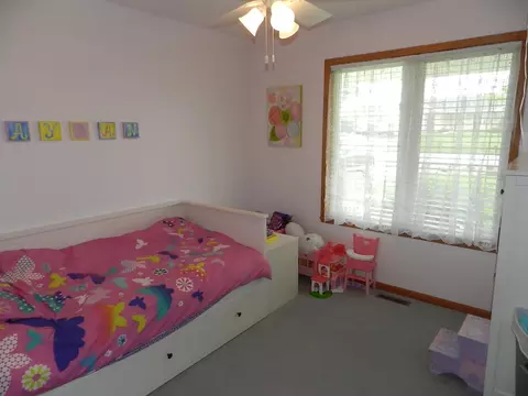 537 Autumnwolf Dr, Davis Junction, IL 61020 photo 8
