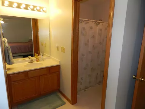 537 Autumnwolf Dr, Davis Junction, IL 61020 photo 7