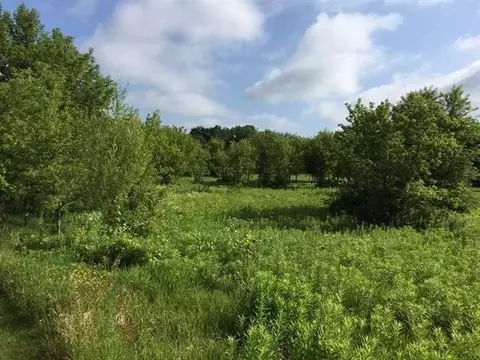 8626 Grandview Dr, Roscoe, IL 61073 photo 3