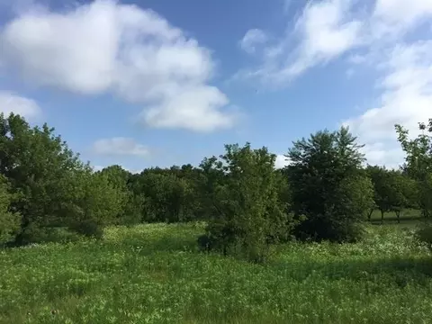 8626 Grandview Dr, Roscoe, IL 61073 photo 5