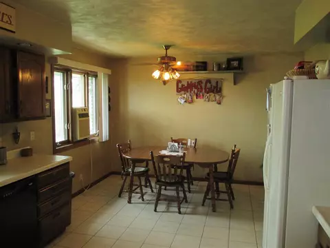 8203 N Mill Rd, Leaf River, IL 61047 photo 5