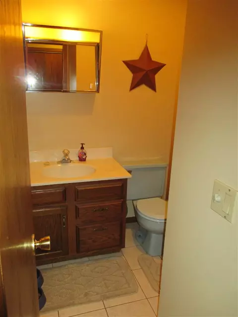 8203 N Mill Rd, Leaf River, IL 61047 photo 6