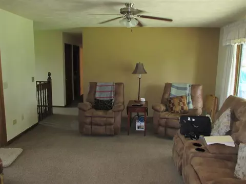 8203 N Mill Rd, Leaf River, IL 61047 photo 3
