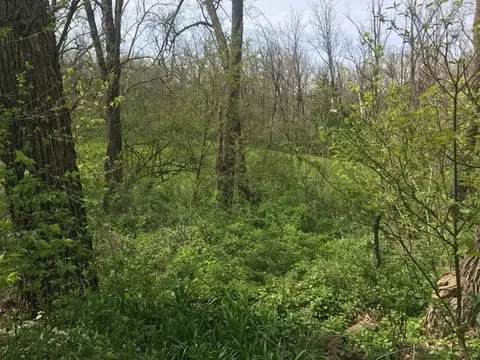 7564 Nan Dr, Roscoe, IL 61073 photo 24