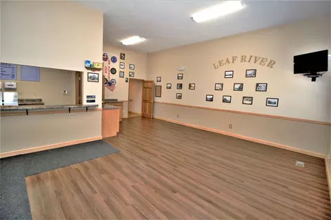 122 N Main St, Leaf River, IL 61047 photo 4