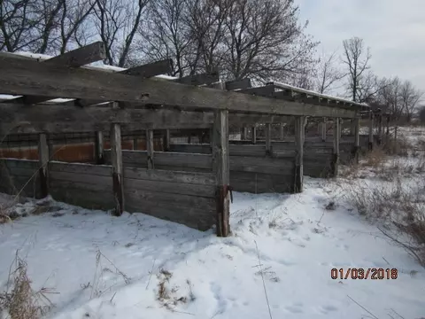 8982 E Maize Rd, Ridott, IL 61067 photo 9