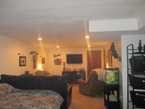 441 Hickory Ln, Davis Junction, IL 61020 photo 23
