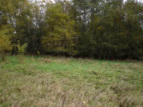16207 Best Rd, Davis, IL 61019 photo 3