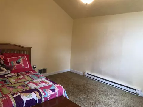 4502 Klinger Rd, Leaf River, IL 61047 photo 13