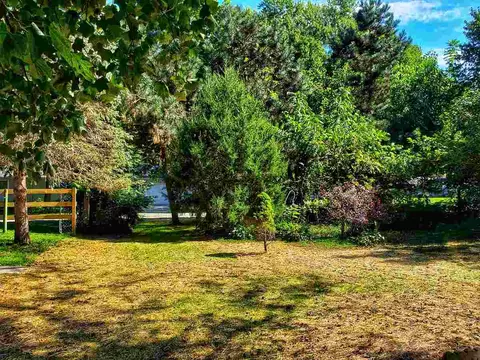 301 W 4th St, Leaf River, IL 61047 photo 9