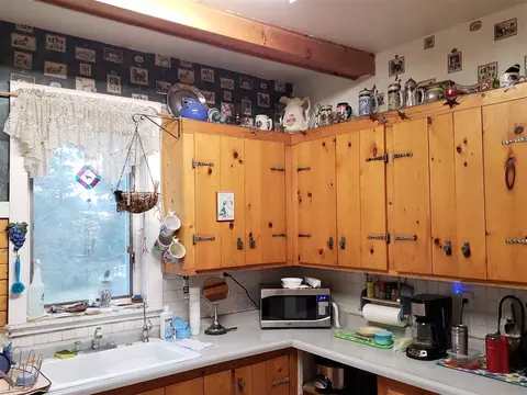 301 W 4th St, Leaf River, IL 61047 photo 3