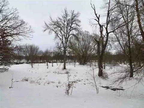 6064 E Bradley Rd, Byron, IL 61010 photo 5