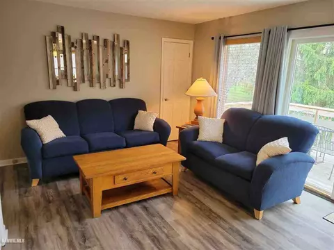 8 A38 Constitution, Apple River, IL 61001 photo 11
