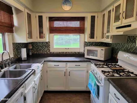 8 A38 Constitution, Apple River, IL 61001 photo 8