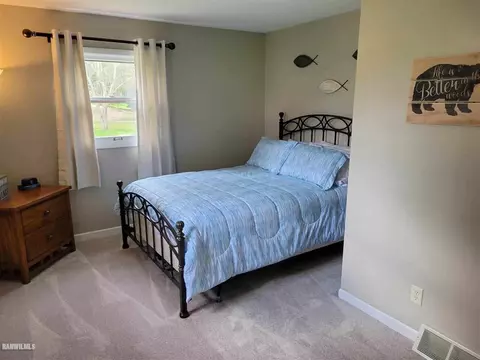 8 A38 Constitution, Apple River, IL 61001 photo 12