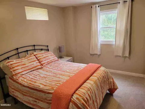 8 A38 Constitution, Apple River, IL 61001 photo 20