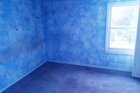 212 E Davis St, Dakota, IL 61018 photo 13