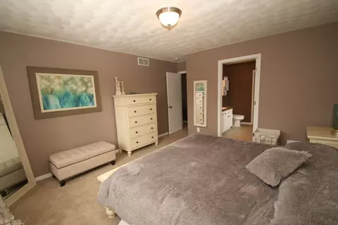 1056 Old Hunter Run, Byron, IL 61010 photo 14
