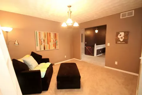 1056 Old Hunter Run, Byron, IL 61010 photo 12