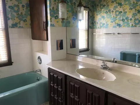 540 W 7th St, Pecatonica, IL 61063 photo 12