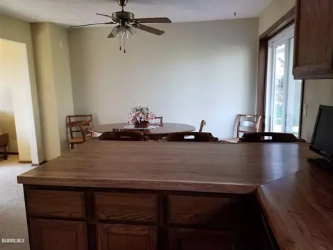 4-180 Misty Ct, Lanark, IL 61046 photo 13