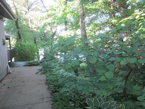 15 Delburne, Lake Summerset, IL 61019 photo 17