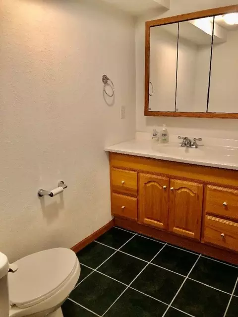 1175 Old Hunter Run, Byron, IL 61010 photo 34